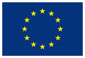 EC_flag